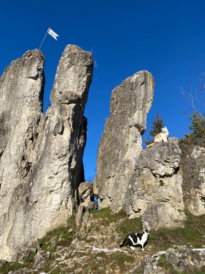 Gasthof Zur Saegemuehle Hiltpoltstein Zewnętrze zdjęcie