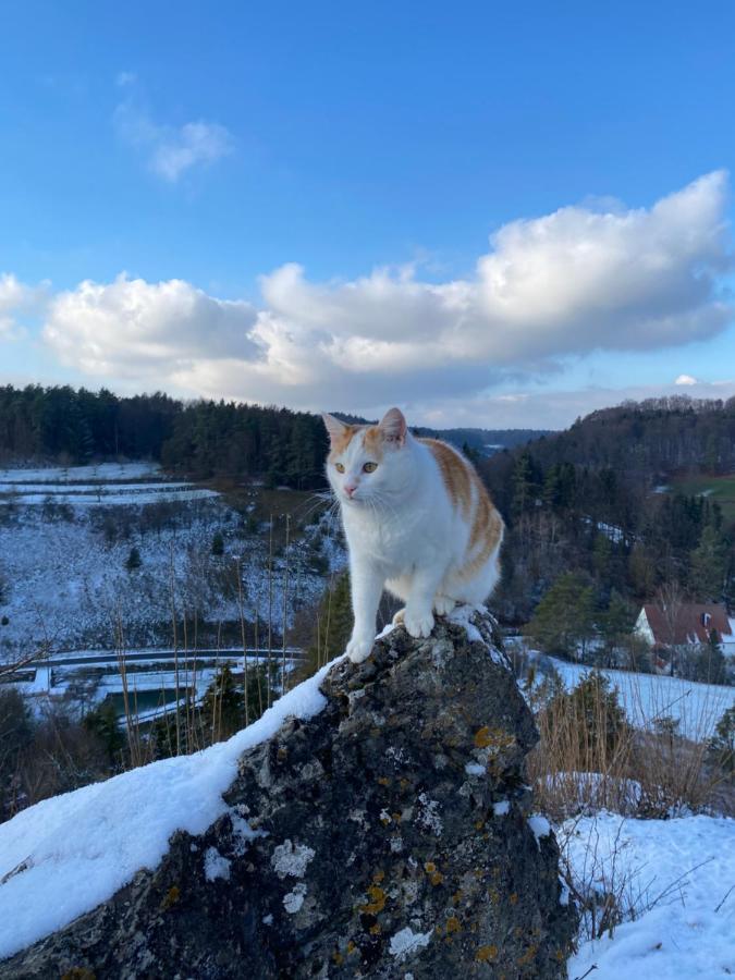 Gasthof Zur Saegemuehle Hiltpoltstein Zewnętrze zdjęcie