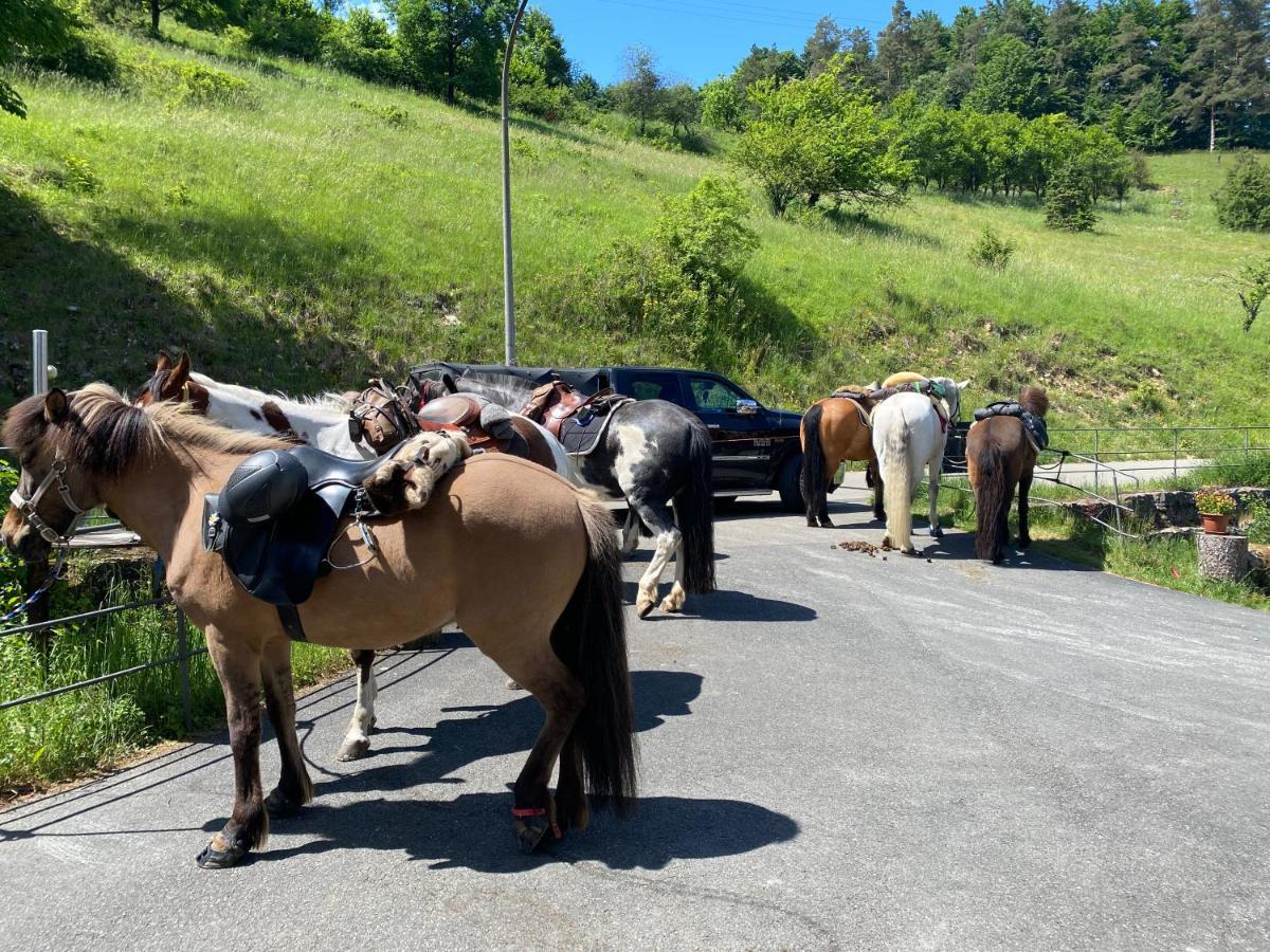 Gasthof Zur Saegemuehle Hiltpoltstein Zewnętrze zdjęcie